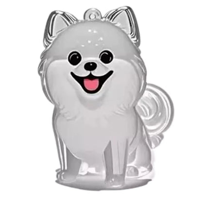 Clear Pet Hair Keychain Cute Dog Fur Keepsake Holder Creative Transparent Pet Hair Memorial Collection Pendant for Dog/Cat